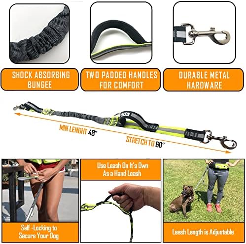 TAKSIN The Ultimate Hands Free Dog Leash System for Walking Running Hiking Training, Reflective Bungee Leash, Treat Holder, Poop Bag Dispenser for Small Medium Large Dogs (Grey Pack)