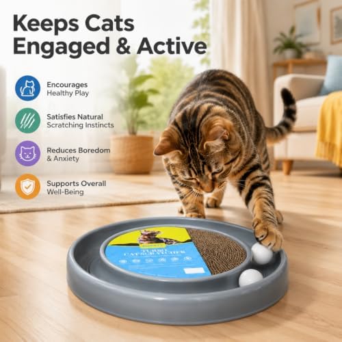 Cat Scratcher Toy Ball Track (Gray)