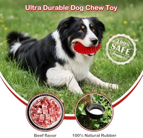 Squeaky Dog Chew Toy, Durable Rubber Fetch Toy for Medium Large Dogs