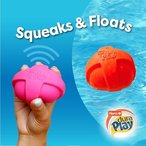 Hartz DuraPlay Bacon Scented Dog Toys, Small (Assorted Color) (Pack of 2)