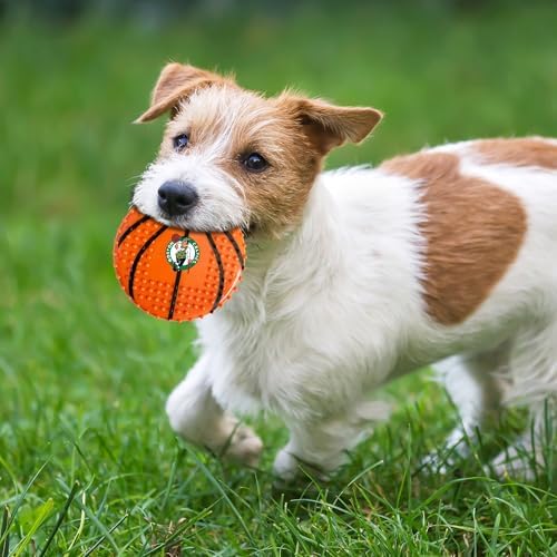 Pets First NBA Boston Celtics Hard-Nylon Bacon-Flavored Basketball Chew Toy, Indestructible Dog and Cat Chewy Toy, Tug, Fetch Toy, Sporty Fun Toy for Dogs