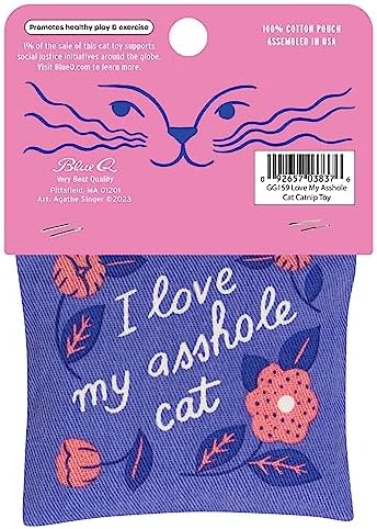 Blue Q Catnip - Cute Cat Toys for Biting w/Funny Graphics - I Love My Cat