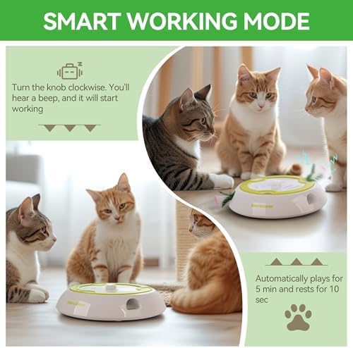 AFP Interactive Cat Toy, Adjustable Speed Automatic Whack a Mole Cat Toy with 6 Random Holes, USB Rechargeable Electronic Toy for Indoor Cats Kittens, Cat Teaser Toy, Non-Slip Base & 2 Replaceables