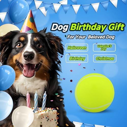 HETOO Dog Tennis Balls, Large Giant Dog Toys, Herding Ball, 9.5 Inch
