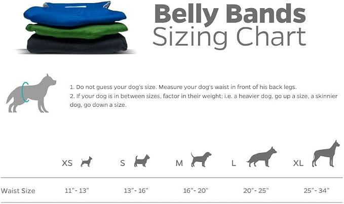 Pet Parents® Washable Belly Bands for Male Dogs (3pack) + Extendrs® of Durable Dog Diapers Male, Premium Male Dog Diapers & Dog Wraps (X-Large, Gentlemen)