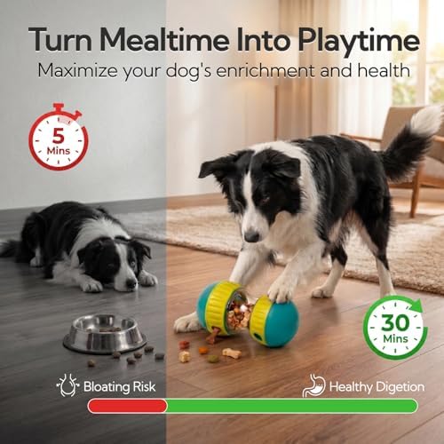 Interactive Dog Puzzle Treat Toys Enrichment Puppy Slow Feeder