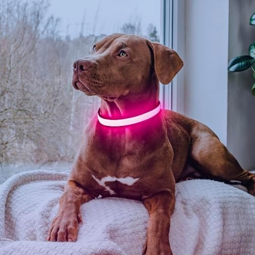 Flashseen LED Dog Collar, Light Up Dog Collar USB Rechargeable
