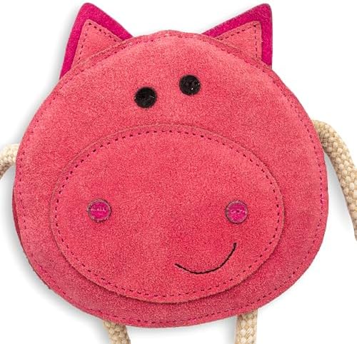 Fuzzl Eco Leather Pickles Pig Natural and Tough Dog Toys - Long Lasting Chew Toys for Aggressive Chewers - Strong Dog Toy for Dogs and Puppy