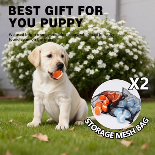 MECOOL 1.57 Inch Small Tennis Balls for Dogs - 20 Pack Durable Mesh Chew & Fetch Balls, Interactive Dog Toy Balls for Small Medium Breed Puppies, Tough Chew Toys,Orange and Blue