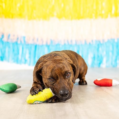 Fringe Studio Plush Dog Toy Set, Grrritos, Small 3 Piece Set, Pet Shop Collection (662041)