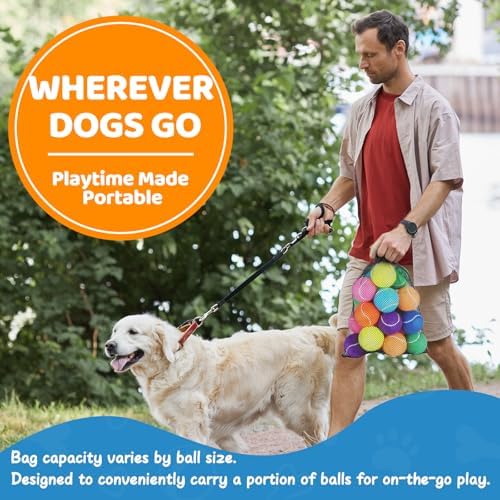 Tennis Balls for Dog 2.5'' Durable Non-Toxic Outdoor Dog Toys Balls with Mesh Bag,Colorful Fetch Toys Balls for Medium Dog (Non Squeaky)