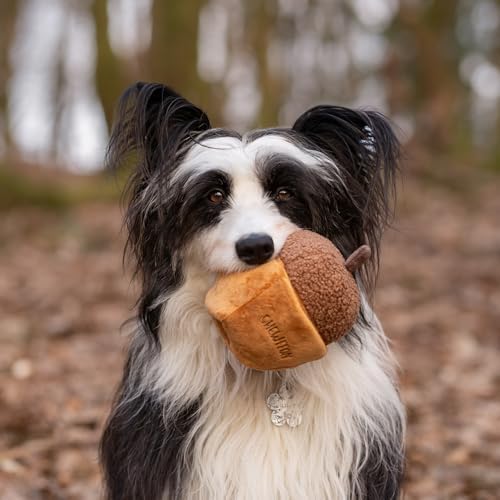 CHEWFFON Interactive Dog Toy, Enrichment Crinkle Treat Puzzle Toys