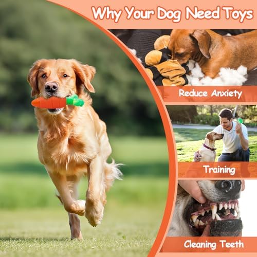 BoYoYo Tough Dog Toys for Aggressive Chewers with Squeaky, Indestructible Dog Chew Toys for Medium and Large Breeds to Keep Them Busy, Interactive Durable Dog Toy