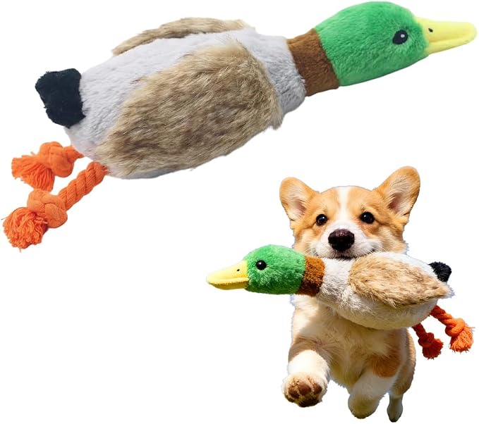 Indestructible Dog Toy for Aggressive Chewers, Durable Stuffed Squeaky Dog Toys for Small Medium Large Dogs, Interactive Chew Teething Puppy Toy for Indoor Outdoor Play (Natural Green 1)