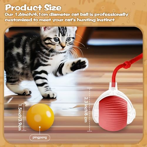Interactive Cat Ball Toys for Indoor Cats, Peppy Pet Ball, 2025 Upgraded Automatic Kitten Toy for Bored Indoor Adult Cat, 360°Smart Rolling Toy (Red)