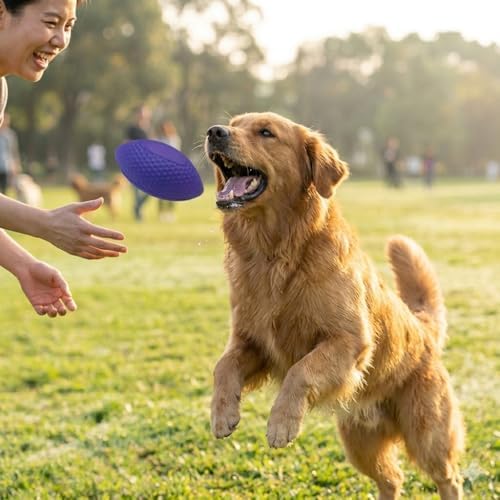 EVA bite-Resistant pet Football Dog Interactive Teething Toy can be Thrown and Bitten Training Ball Elastic and Light Human pet Throwing Ball (Purple)