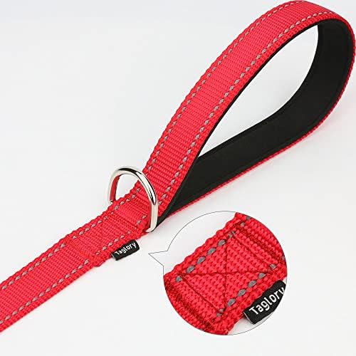 Taglory 14"-20" Dog Collar and 6 FT Dog Leash Set, Highly Reflective Threads Dog Leash, Adjustable Reflective Dog Collar with Safety Locking Buckle for Medium Dogs