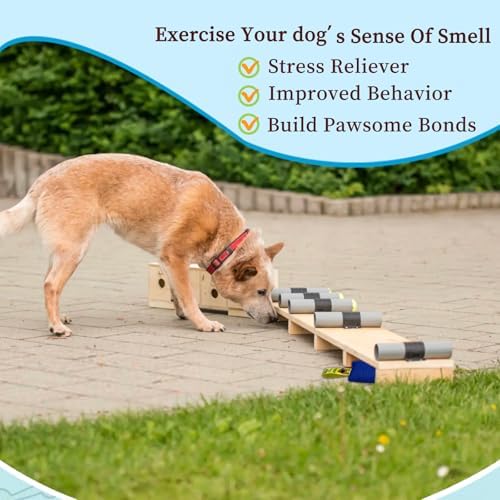 Dog Scent Training kit, Brain Games, Hide and Seek Toys, Metal Stimulation Games - Fun Nose Work for Dogs, Sniff and Seek Sniffing Toys, Dog Nosework, Scent Work Kit for All Ages