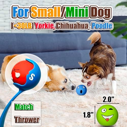 HOLYSTEED Latex Squeaky Dog Balls for Small Dogs, Mini Breed, 2" Round Toys