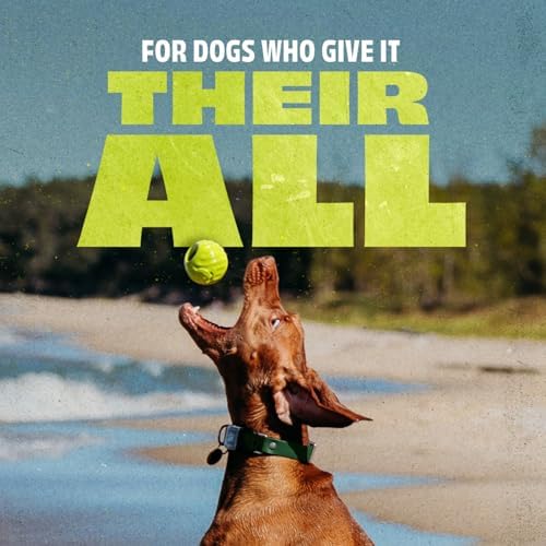 Benebone Natural Rubber Dog Ball, 1 Pack | Natural Rubber, Extra Bouncy, Tooth-Friendly, Great for Fetch, Boredom Buster, Dishwasher Safe, Long-Lasting
