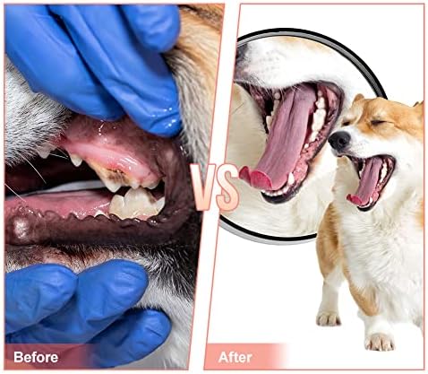 Natural Rubber Slipper Dog Chew Toy, Durable Teeth Cleaning Toy for Aggressive Chewers, Interactive Training Toy for Small Medium Puppies