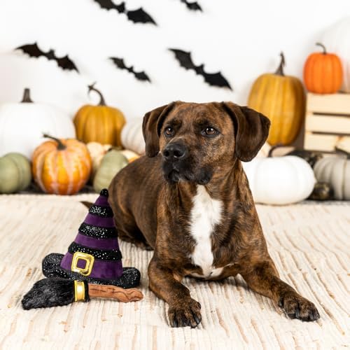 Fringe Studio Wear & Play Plush Dog Toy, IF The Broom FITS, 2 Piece Set, PetShop Collection (638009)