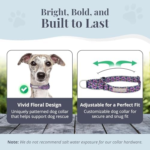 Lucky Love Dog Martingale Collar & Leash Set No Slip – Primrose, Medium