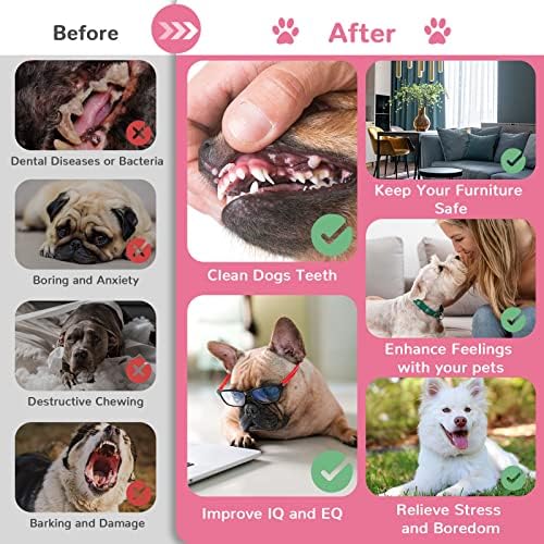 Puppy Chew Toys 6 Pack for Small Dogs, Teething Toys for Puppy Easy Clean Rubber Bone Star Stick Donut Slipper Spiky Ball Set for Small Breed Teething Relief (Dogbed not Included)