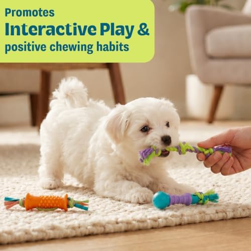 Dental Chew Pack Mini Dog Chew Toys, 7", 3-Pack
