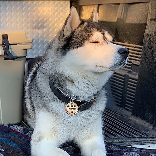 MYLUCKYTAG Stainless Steel QR Code Pet ID | Dog & Cat Collar Tag | Personalized Online Profile | Scanned Location Alert Email | Durable & Waterproof