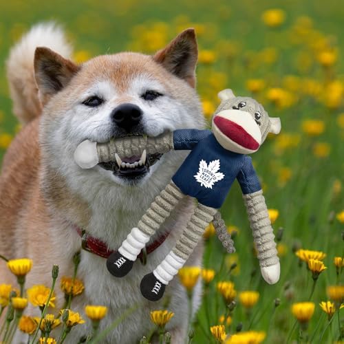 Littlearth NHL Team Sock Monkey Pet Toy - Officially Licensed Teams