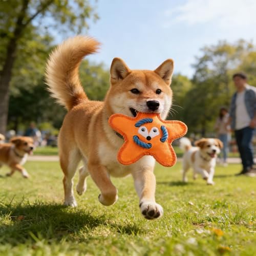 Andiker Squeaky Dog Toys, Cute Star Shape Dog Chew Toys with Squeaker Crinkle Paper Strong Ropes Bright Color Interactive Dog Toys for Puppy Small Medium Dogs Chewing Grinding Teeth (Orange)