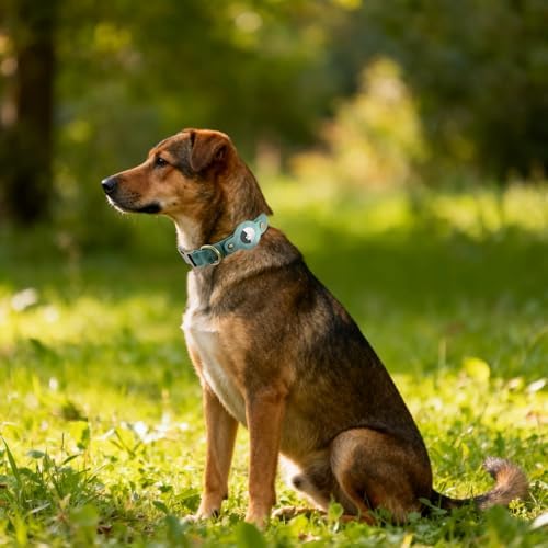 Airtag Dog Collar, PU Leather Collar w Airtag Holder for Medium Dogs(Green)
