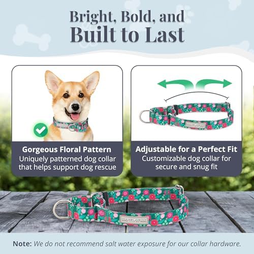 Lucky Love Dog Martingale Collar for Small Dogs No Slip Cute – Penny, Small