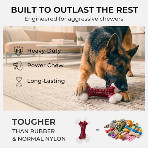 Kseroo 2-Pack Dog Toys for Aggressive Chewers Medium/Large Breed, 8-Inch Solid Nylon Dog Chew Bones, Beef Flavored Tough Dog Toys for 20-90lb Dogs, Red