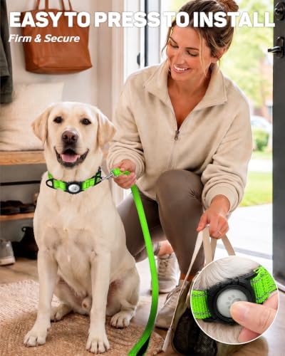 Padded Dog Collar with Waterproof Holder Compatible with Airtag