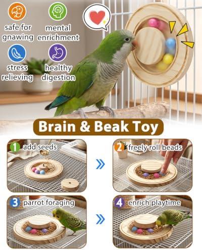 Wooden Bird Foraging Puzzle Toys with Safe Chewing Beads