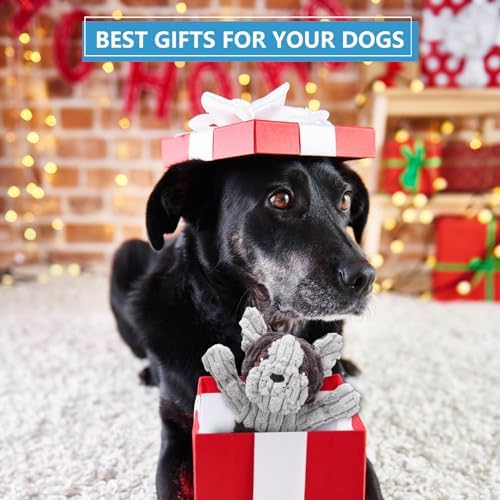 Letsmeet Plush Dog Squeak Toys with Crinkle Paper - Pull Interactive Tug of War Dog Toy, Great for Dental Health, Strengthening Bonds and Anxiety Relief for Puppies, Small, Medium, Large Dogs