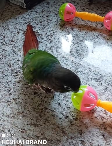 20-Pack Bird Toys for Parakeets, Budgies