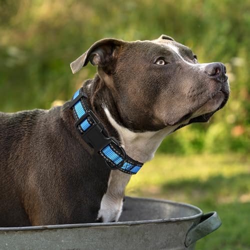 Mile High Life Reflective Dog Collar, Adjustable Lightweight Quick Release