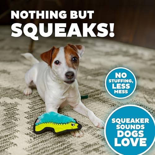 Outward Hound Durablez Minis Tough Chew Plush Squeaky Dog Toy, Hedgehog, 7"