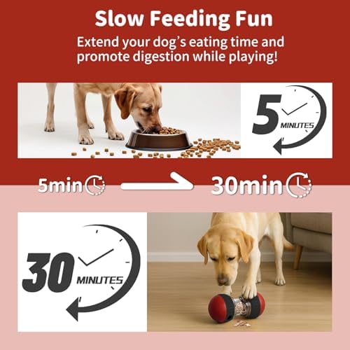 Interactive Dog Treat Puzzle Toys Food Dispensing Enrichment