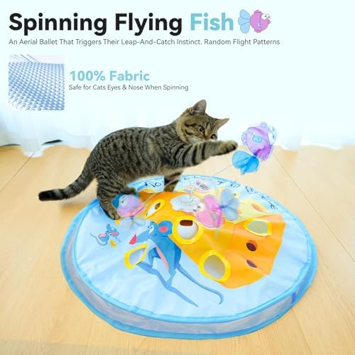 ORSDA Interactive Cat Toys for Indoor Cats, 5-in-1 Hide and Seek Kitten Toys, Interactive Automatic Rechargeable Electric,Whack-A-Mole Exercise Kicker Toy for Indoor Cats