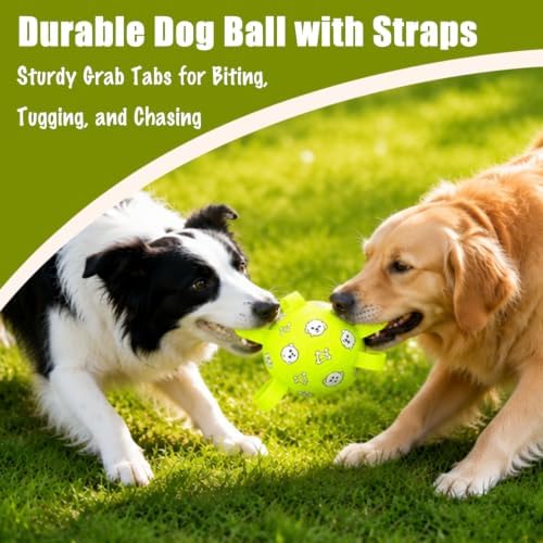 Dog Soccer Ball with Straps, 6 Inch Jolly Ball for Medium Dogs