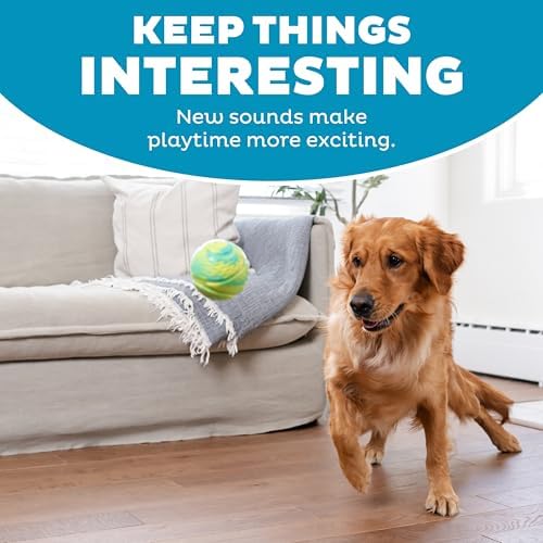 Outward Hound by Petstages Grunt N' Punt Tennis Ball - Fetch Ball Dog Toy, Multi