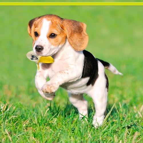 PetSport Tiny Tots Foodie Banana - Banana Dog Toy Squeak Toy, Soft Plush Puppy Toys, Interactive with Squeaker, Made for Small Dogs - 5 Inch
