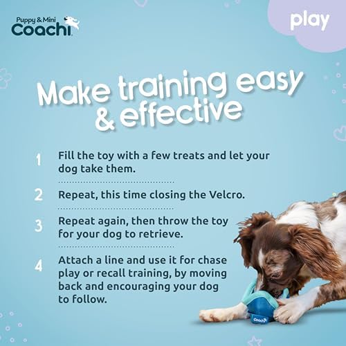 Coachi Puppy & Mini Chase & Treat - Great for Play and Chase