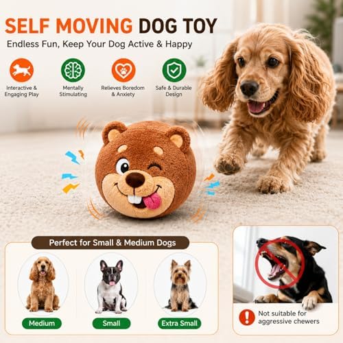 Interactive Dog Toy, Sound Activated Bouncing Bear with Music