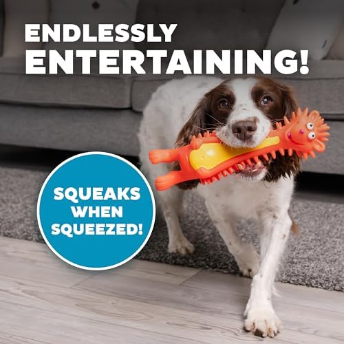 Outward Hound Latex-Free Big Squeak Hedgehog Dog Toy