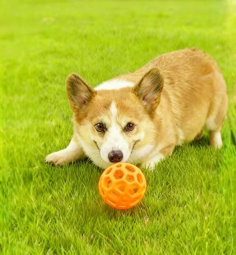 2PCS pet Bell Ball Toy,Suitable for Dogs, Cats, and Other Animals. Safe and Durable, bite-Resistant Design, Interactive Toy, Promotes Activity, an Essential Daily Plaything for Pets.